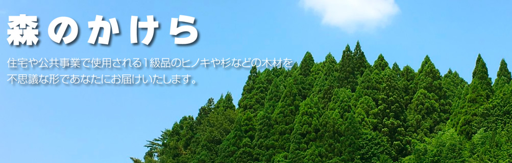 森のかけら　住宅や公共事業で使用される１級品のヒノキや杉などの木材を不思議な形であなたにお届けします。